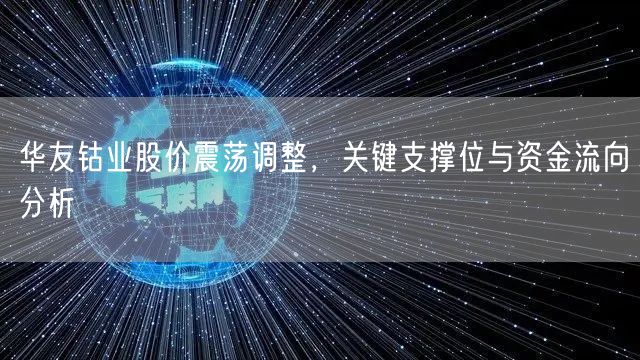 华友钴业股价震荡调整，关键支撑位与资金流向分析