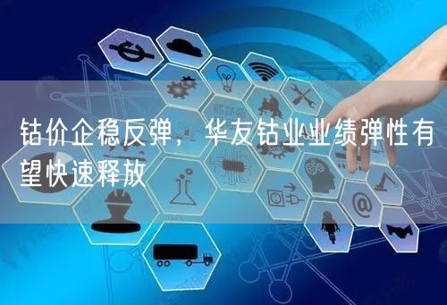 钴价企稳反弹，华友钴业业绩弹性有望快速释放