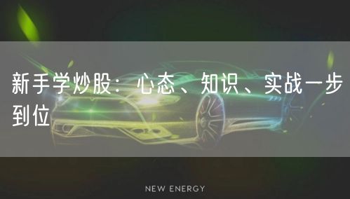 新手学炒股：心态、知识、实战一步到位